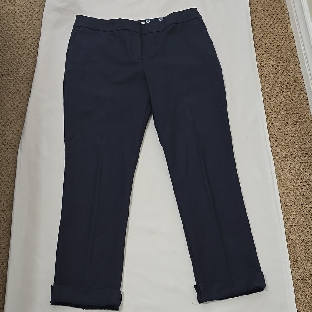 Boden Blue Ankle Cropped Pants with Pockets Size 10R‎